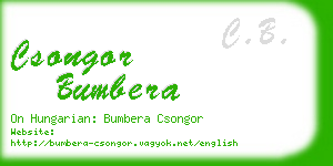 csongor bumbera business card